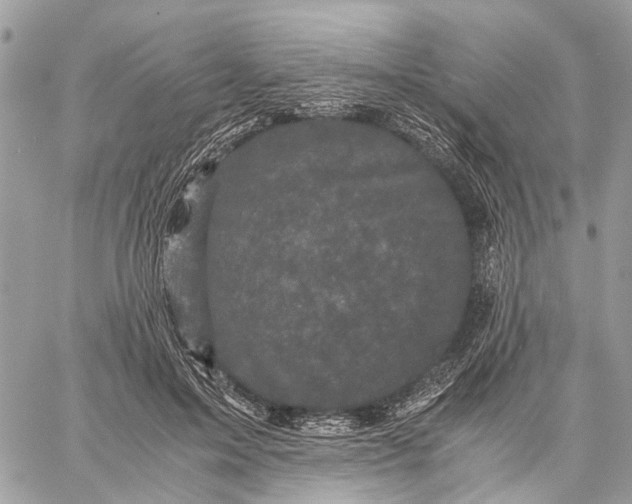 X0000058760599200510211659