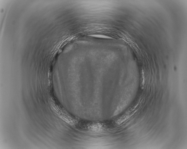 X0000058760600200510211659