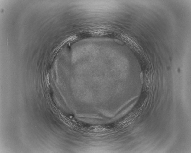 X0000058760601200510211659