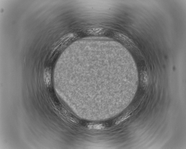 X0000058760602200510211659