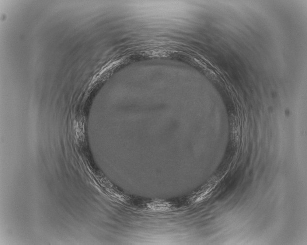 X0000058760603200510211659