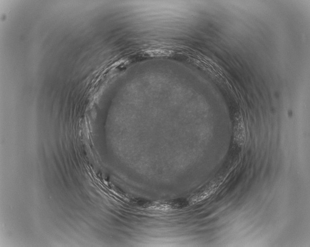 X0000058760604200510211659