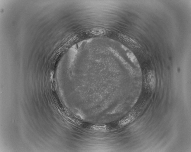 X0000058760606200510211659