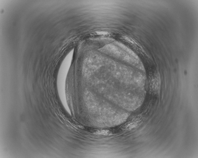 X0000058760609200510211659