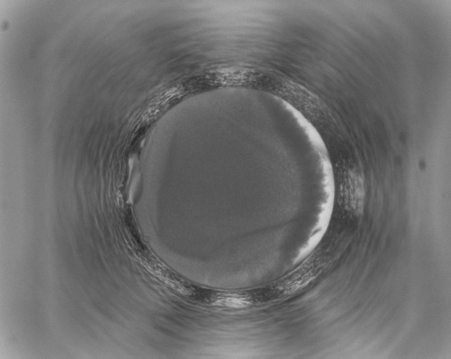 X0000058760610200510211659