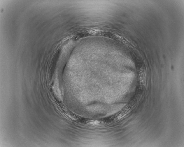 X0000058760611200510211659