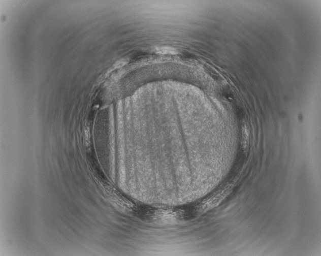 X0000058760613200510211659