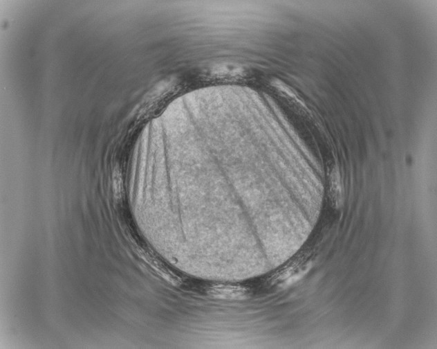 X0000058760617200510211659