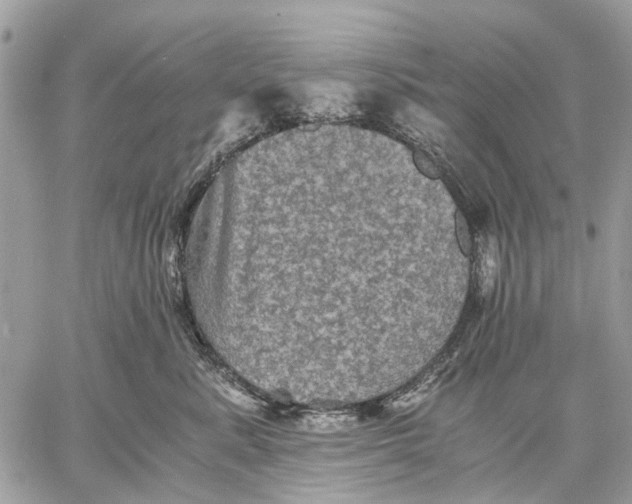 X0000058760619200510211659