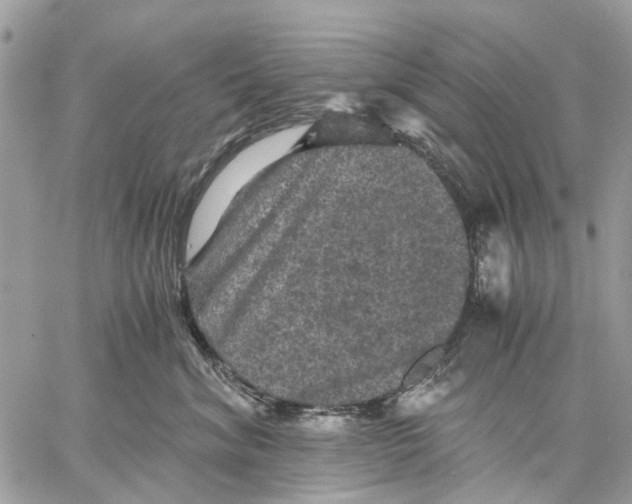 X0000058760620200510211659