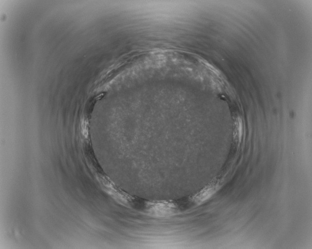 X0000058760621200510211659