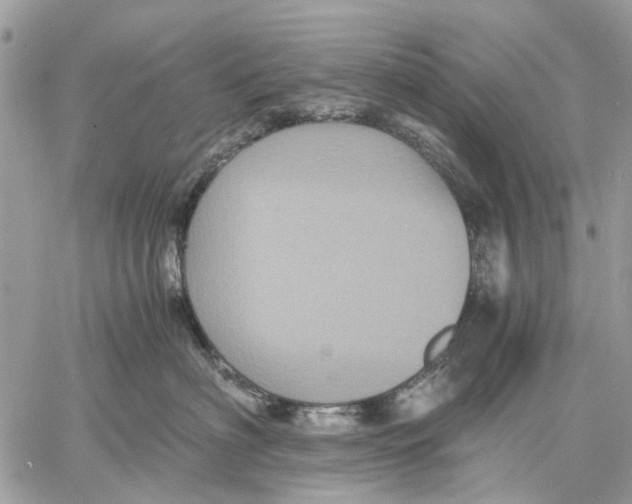 X0000058760622200510211659