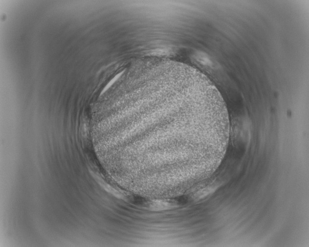 X0000058760623200510211659