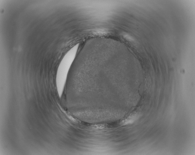 X0000058760624200510211659