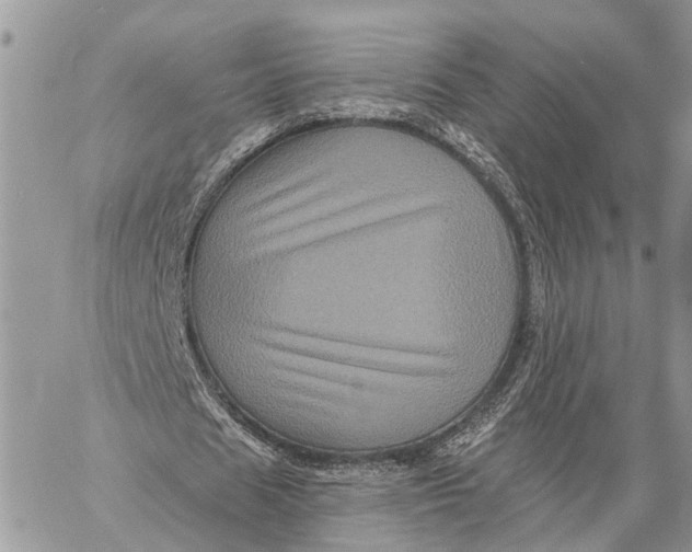 X0000058760625200510211658