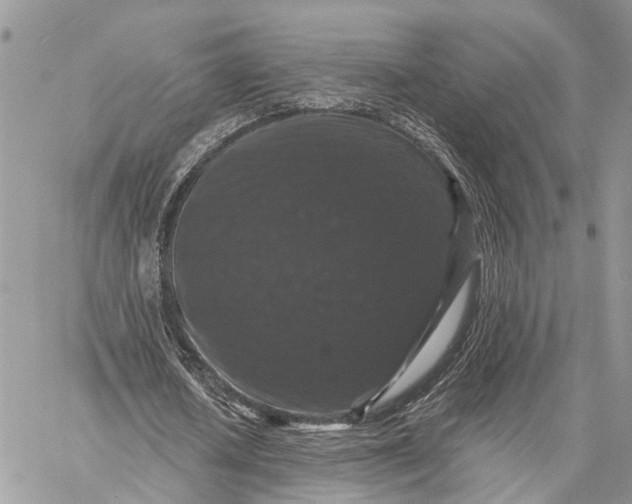 X0000058760626200510211658