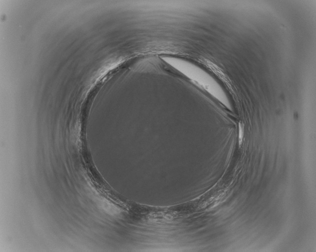 X0000058760627200510211658