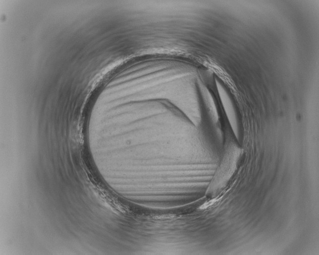 X0000058760628200510211658