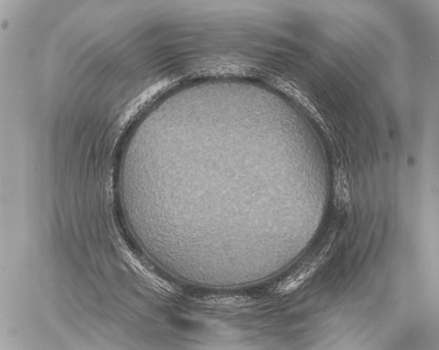 X0000058760629200510211658