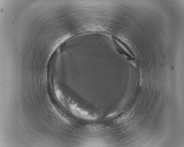 X0000058760630200510211658