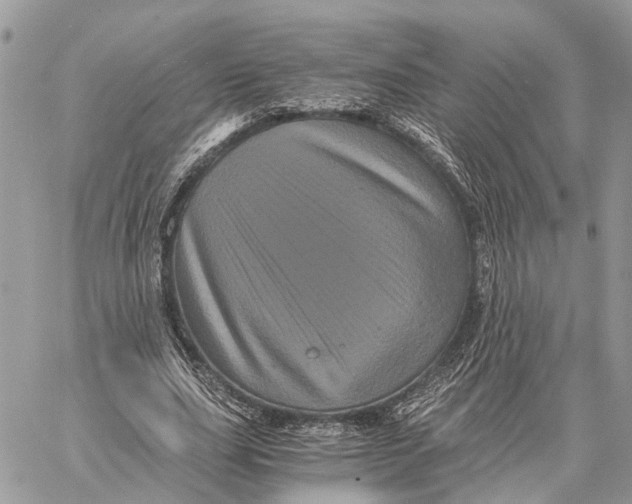 X0000058760631200510211658