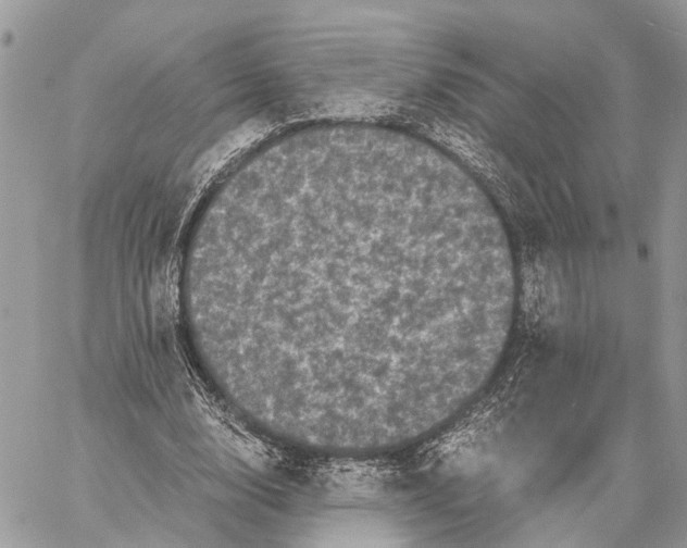 X0000058760632200510211658