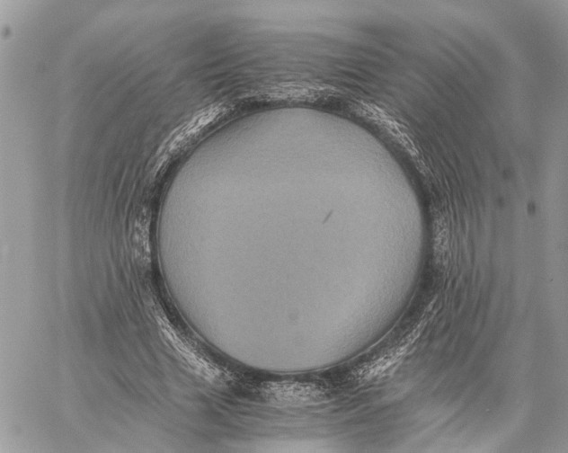 X0000058760633200510211658