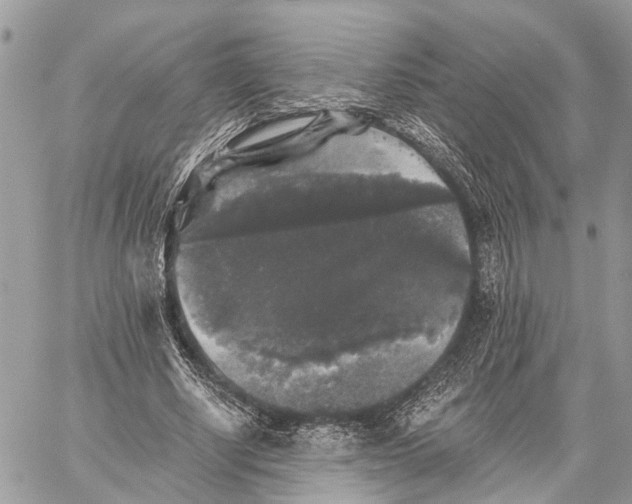 X0000058760634200510211658