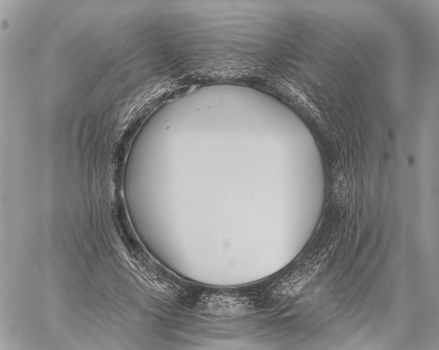 X0000058760635200510211658