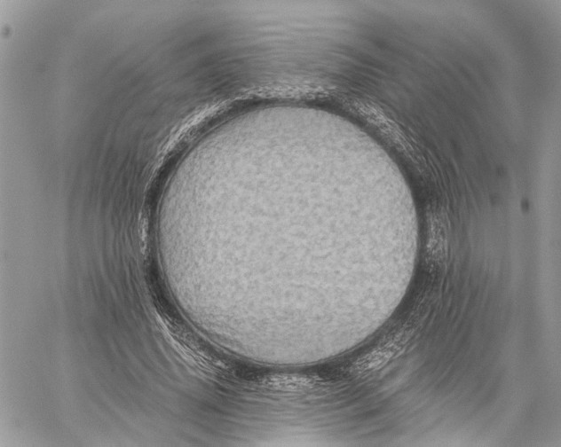 X0000058760636200510211658