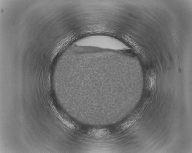 X0000058760638200510211658