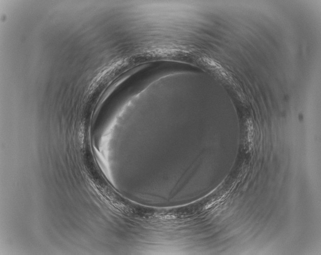 X0000058760640200510211658