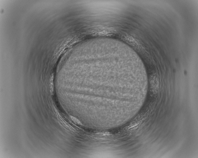 X0000058760642200510211658