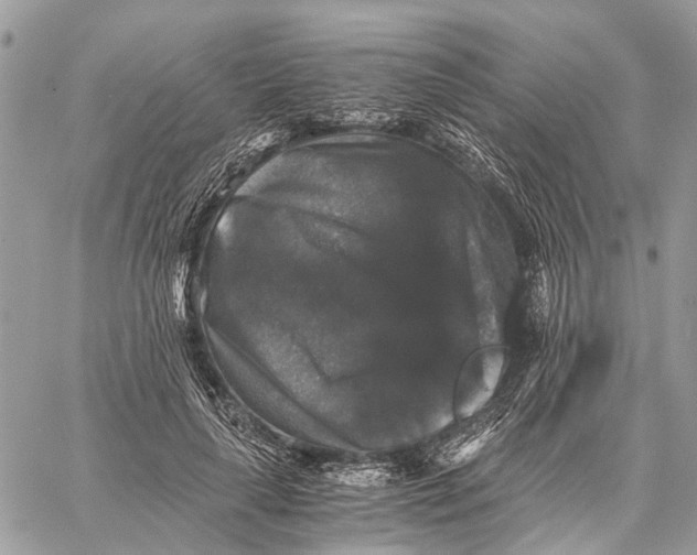 X0000058760643200510211658