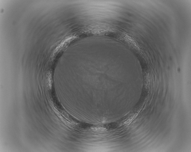 X0000058760644200510211658