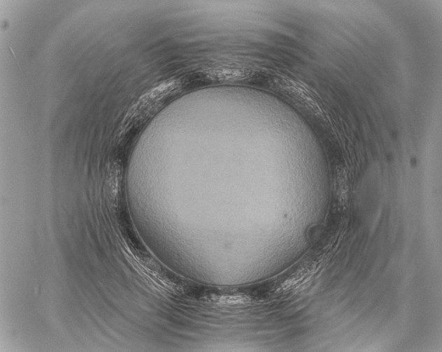 X0000058760645200510211658