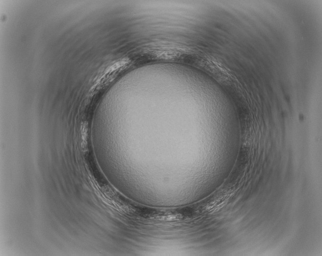 X0000058760646200510211659