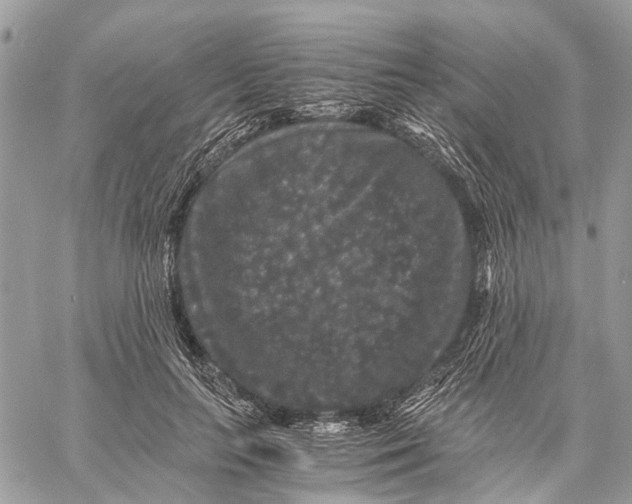 X0000058760647200510211659