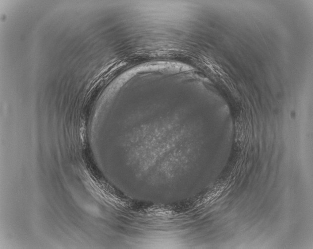 X0000058760648200510211659