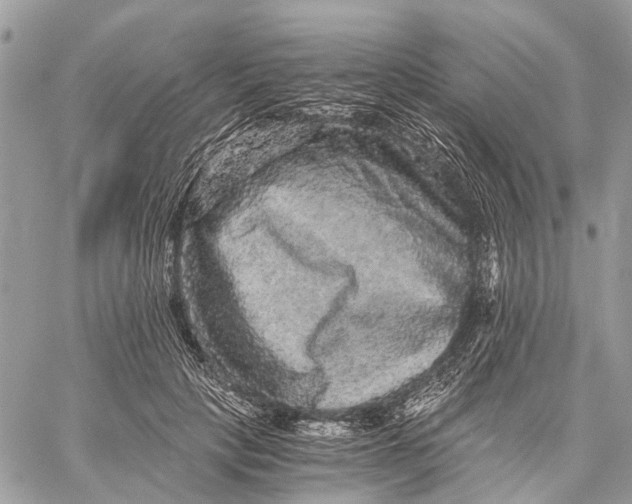 X0000058760649200510211659