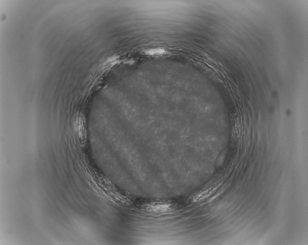 X0000058760651200510211659