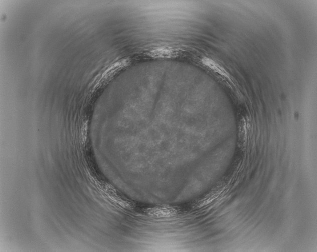 X0000058760652200510211659