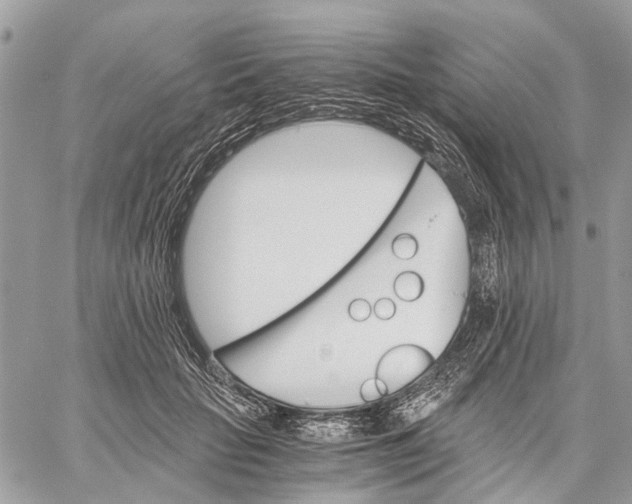 X0000058760653200510211659