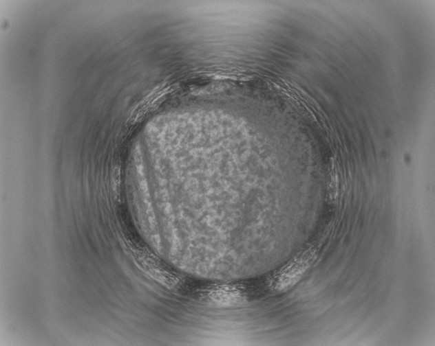 X0000058760656200510211659