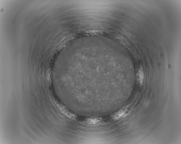 X0000058760662200510211659