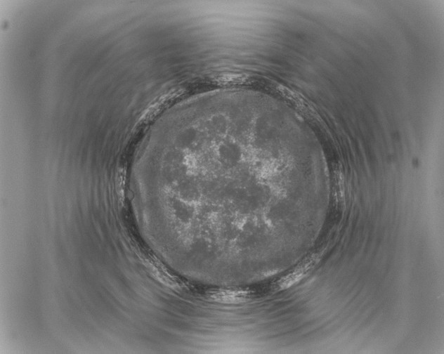 X0000058760664200510211659