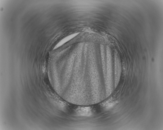 X0000058760665200510211659