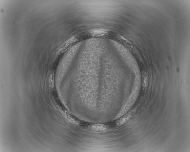 X0000058760666200510211659