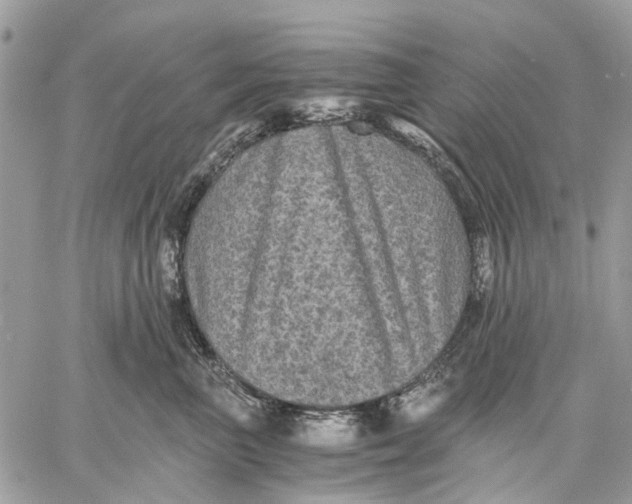 X0000058760667200510211659