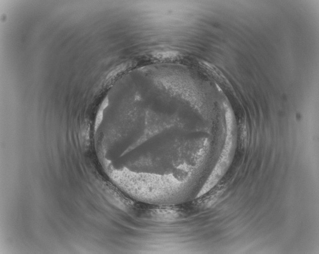 X0000058760668200510211659